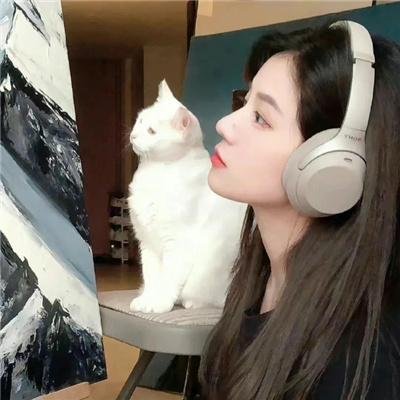 如意天书