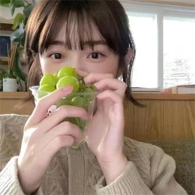 大坏狼